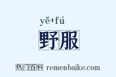 野服是什么意思的图片
